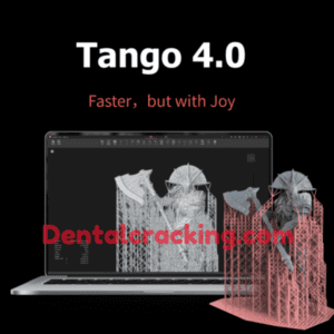 voxeldance tango